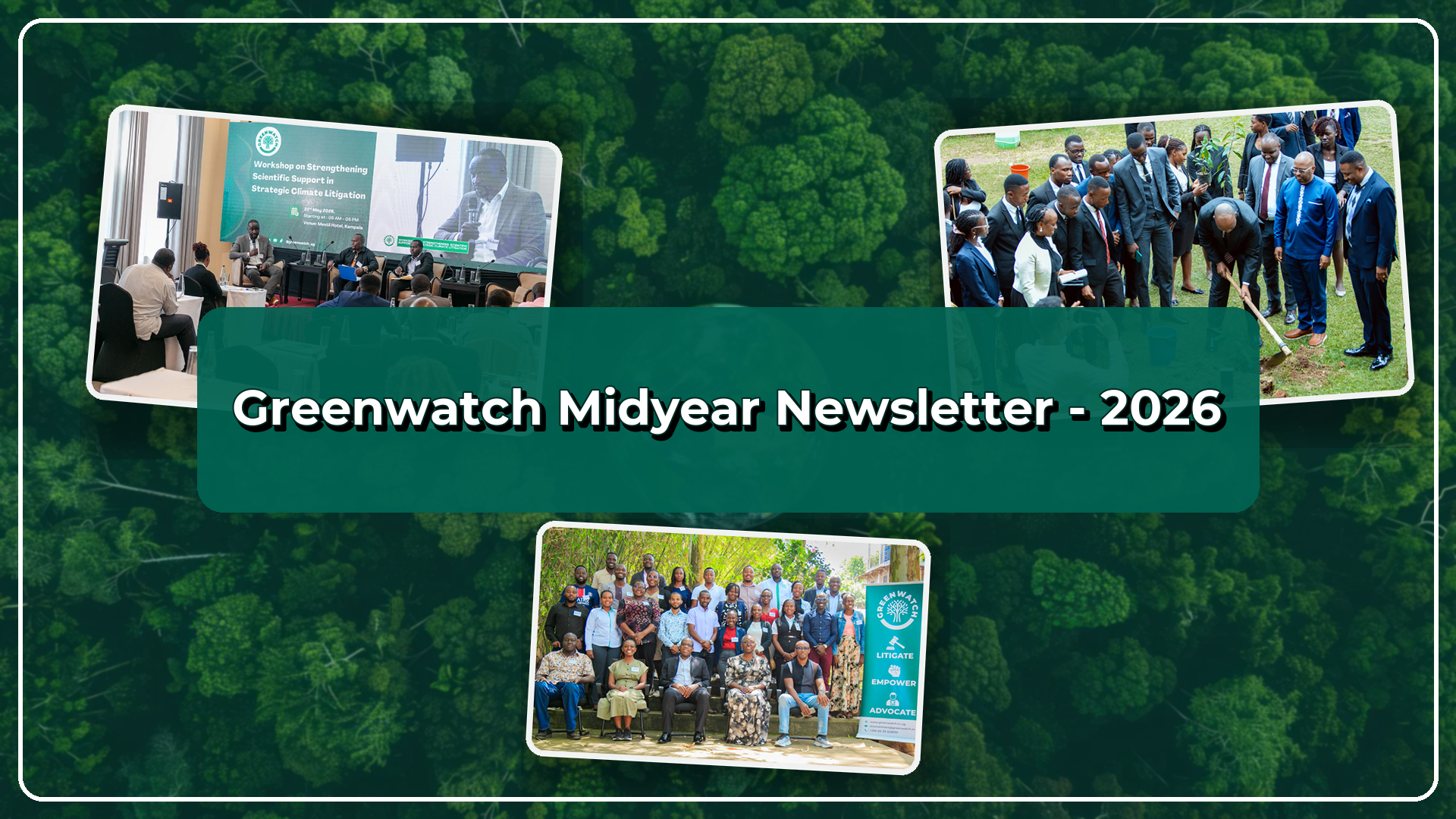 Greenwatch Mid-Year Newsletter (2026)