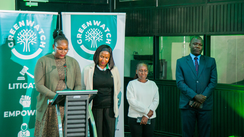 Faith Nadweny speaking on behalf of the leadership committee at the Launch of the Lawyers for Environment and Climate Justice Network